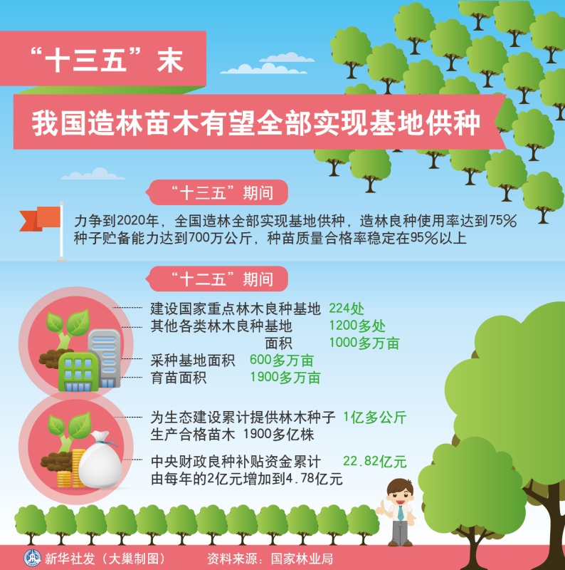 图表：“十三五”末我国造林苗木有望全部实现基地供种。新华社发 大巢制图
