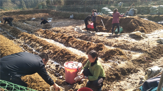 ��������ڽ������׾���ֲ���ܷõ�λ��ͼ