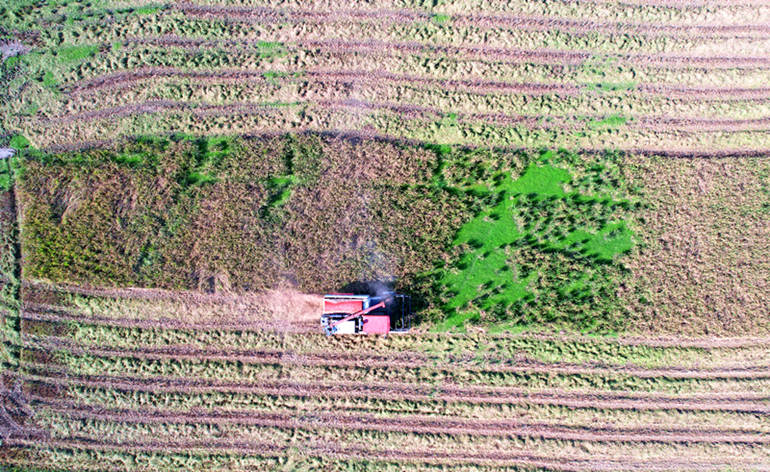 ��ʳ���ա����������� ������