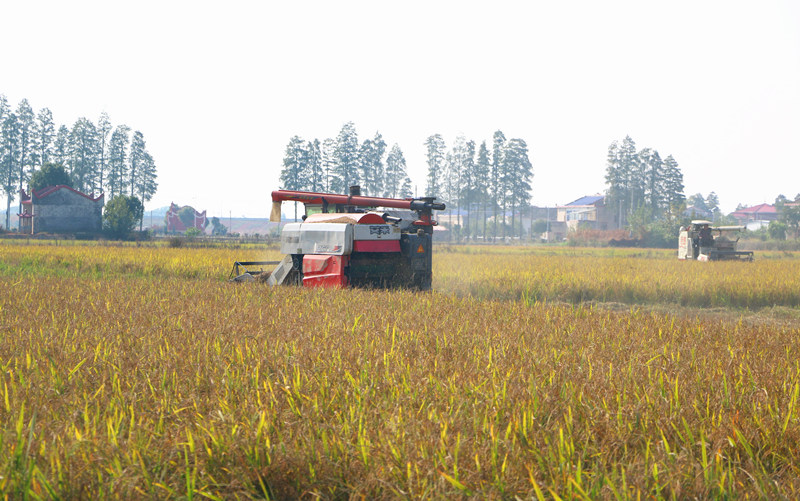 �ո���ڵ����ﴩ������������ ������