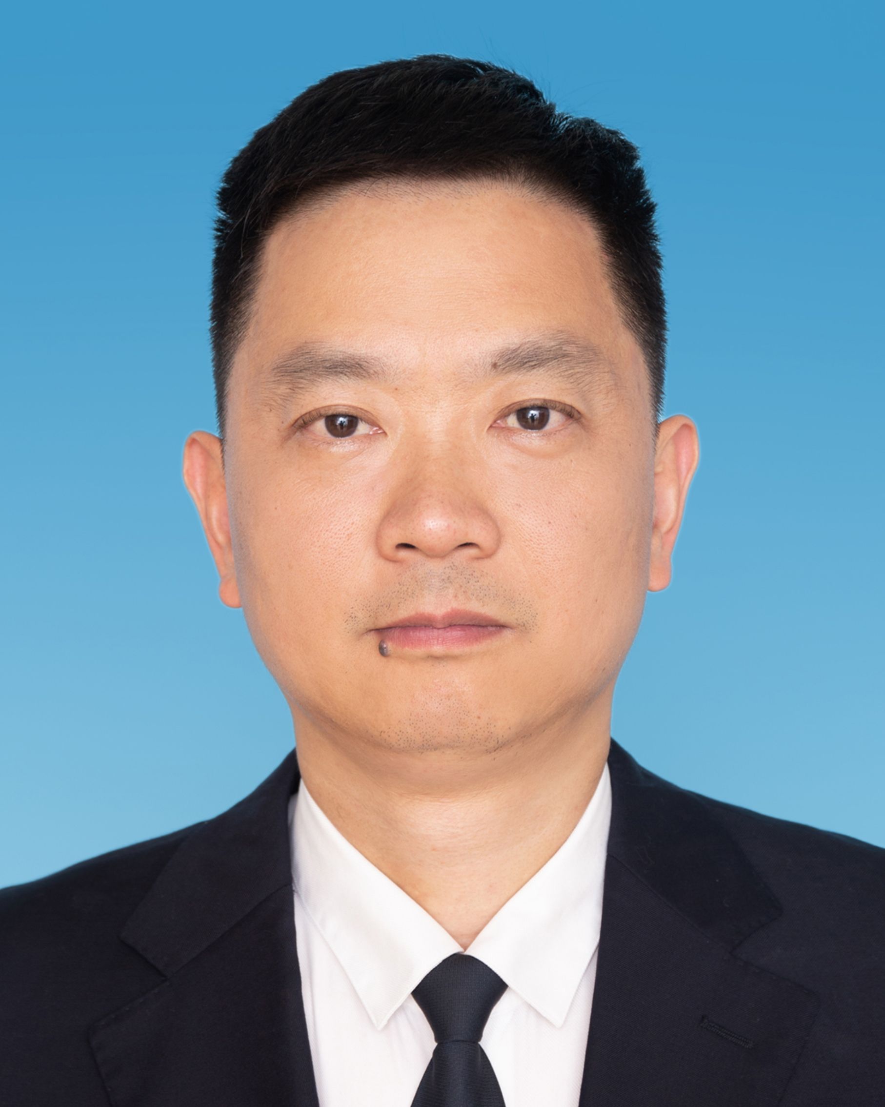 陈淼