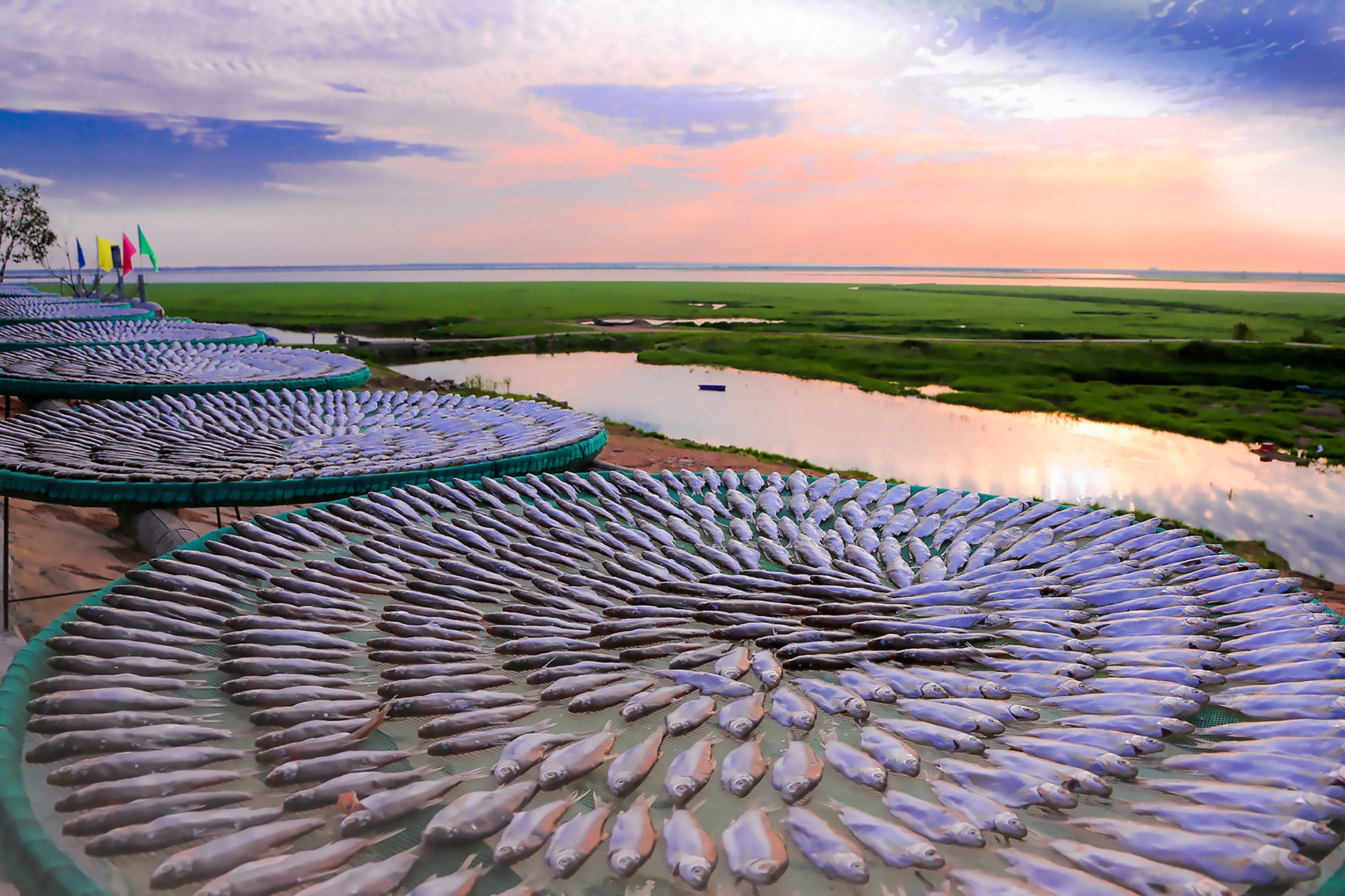 ����բ�����