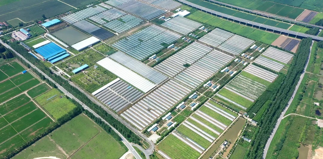 ������ʮ���꣺���������׸����۰Ĳ�԰������ɽ�߲�ƾʵ������Ȧ��