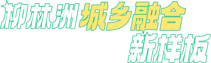 �����޳����ں�������